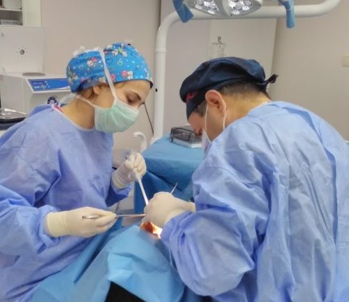 implant fiyatları